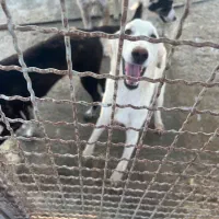 استخدام کارگر ۲۴ ساعته