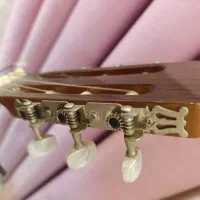 گیتار آنتونیو سانچز|گیتار، بیس، امپلیفایر|پیشوا, |دیوار