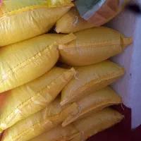 فروش برنج هاشمی