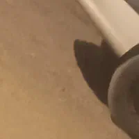 دوتا اگزوز دارم