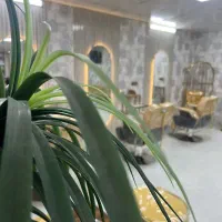 جذب نیرو در محیط حرفهای سالن بانو آتی