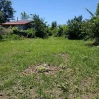 فروش زمین باغی ویلایی