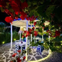 استخدام آشپز و باریستای حرفه ای برای کافه رستوران