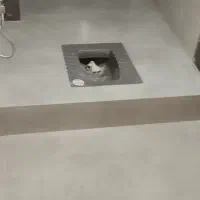 کاشی کاری اسلب روشوئ بین کابینت و غیره