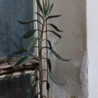 سگ قهوه روشن
