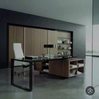 منشی دستیار مدیر عامل (خانم)