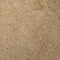 جو دیم گندم آبی|عمده‌فروشی|خاوه, |دیوار