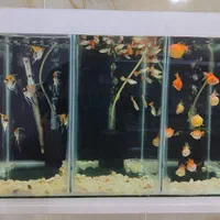 باسمنج خیابان ولیعصر جنب مسجد ولیعصر|ماهی|تبریز, |دیوار