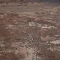 زمین بلوار جمهوری کوچه نگاران