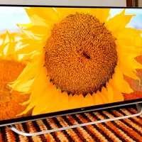 ال ای دی 50اینج الجی اصلی هوشمند اسمارت3D 4k نونو