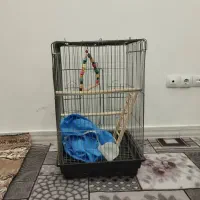 قفس ۱۰۳۳|لوازم جانبی حیوانات|اشتهارد, |دیوار