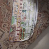 فرش ماشینی|فرش|رشت, سیا اسطلخ|دیوار