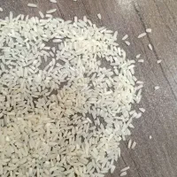 ۲۸۰ کیلوسر لاشه سورتینگ شده هاشمی قیمت ۱۹۸ هزار|خوردنی و آشامیدنی|شفت, |دیوار