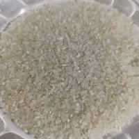 خورده کامفیروزی