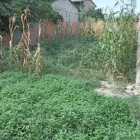 زمین خانه سری