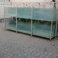 آکواریوم|ماهی|خوی, |دیوار