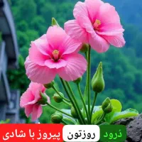 کردان-3000متر-دوبلکس