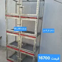 قفس مرغ کبوتر وعروس هلندی و سگ و گربه