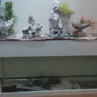 آکواریوم