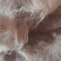 پشم گوسفندی تمیز وشسته شده