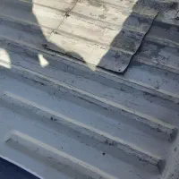 پیکان وانت دوگانه شرکتی|خودرو سواری و وانت|خسروشاه, |دیوار