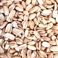 بادام زمینی کره گیری آستانه