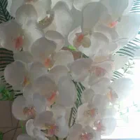 گل ارکیده دکوری