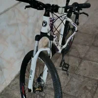 دوچرخه Viva Jaguar سایز ۲۶|دوچرخه، اسکیت، اسکوتر|ری, صالحآباد شرقی|دیوار