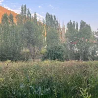 زمین در جاده چالوس آزادبر قطعه ای از بهشت|فروش زمین و ملک کلنگی|آسارا, |دیوار