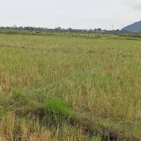 زمین کشاورزی|فروش زمین و ملک کلنگی|لوندویل, |دیوار