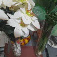 فروش تزیینات منزل۶تیکه