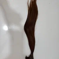 موی ۵۰ سانت