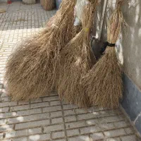 جارو کشمونی|لوازم نظافت|بیرجند, |دیوار