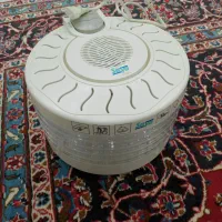 میوه خشک