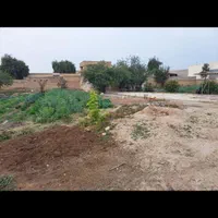 فروش-زمین-1000-متری-سر-بلوار-جاده-اصلی-شمس-آباد