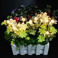 ریسه ال ای دی طرح شکوفه ۸۰ عددی