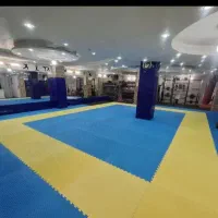 کلاس چربی سوزی و امادگی جسمانی بانوان