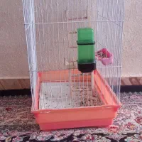 قفس عروس هلندی نو بزرگ|لوازم جانبی حیوانات|کرمان, |دیوار