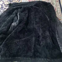 کاپشن اصل|لباس|تهران, سهروردی|دیوار