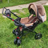 کالسکه دلیجان