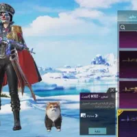 اکانت پابجی|کنسول، بازی ویدئویی و آنلاین|بهرمان, |دیوار