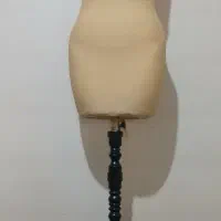 مانکن سوزن خور