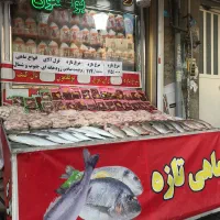 نیاز به مرغ خورد کن حرفه ای و یک همکار ساده