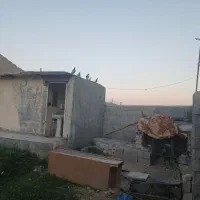 کبوتر