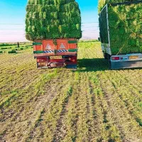 فروش کاه نرم گندم..‌پرس کاه .پرس یونجه انبار|عمده‌فروشی|مشهد, شهرک صنعتی توس|دیوار