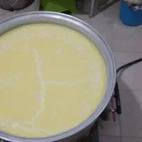 شیر گاو|خوردنی و آشامیدنی|اسکو, |دیوار