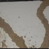 سمپاشی موریانه زدایی باضمانت بلند مدت|خدمات نظافت|سوسنگرد, |دیوار