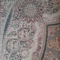 فرش ۶ متری|فرش|رشت, لاکان شهر|دیوار