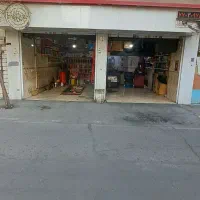 مکانیک ماهر