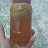 عسل شرطی